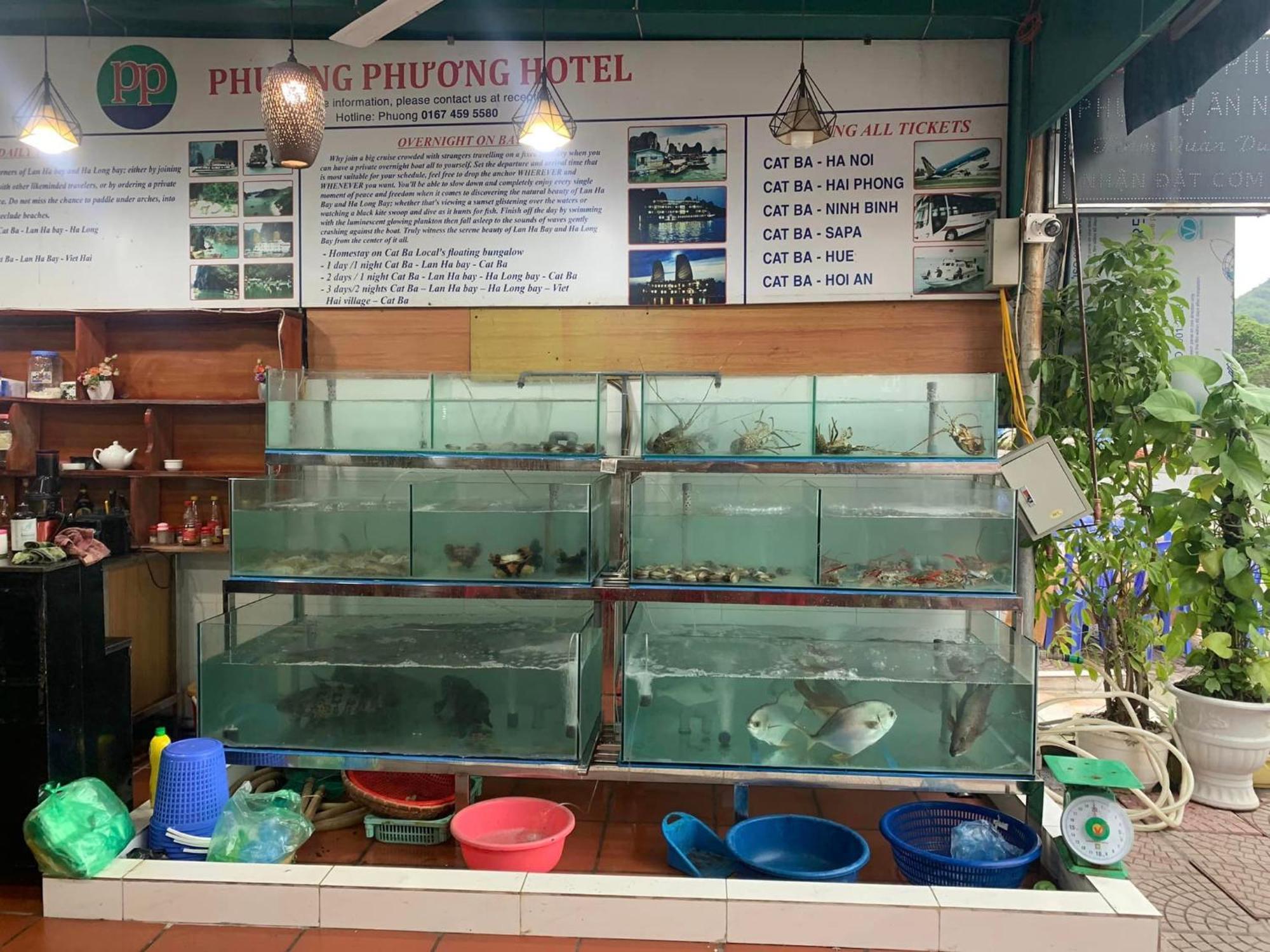 Phuong Phuong Hotel Dong Khe Sau Exterior photo